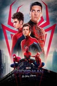 Download Spider-Man: No Way Home (2021) Dual Audio [Hindi (Cleaned)-English] HDCAM || 720p [1.2GB] || 480p [450MB]